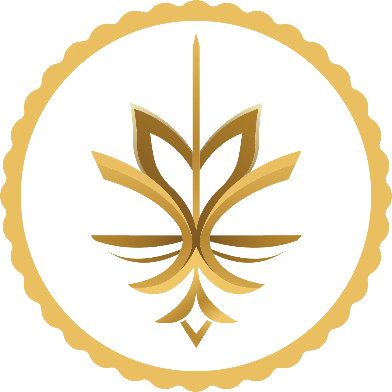Tabacalera Familia Disla S.A. logo